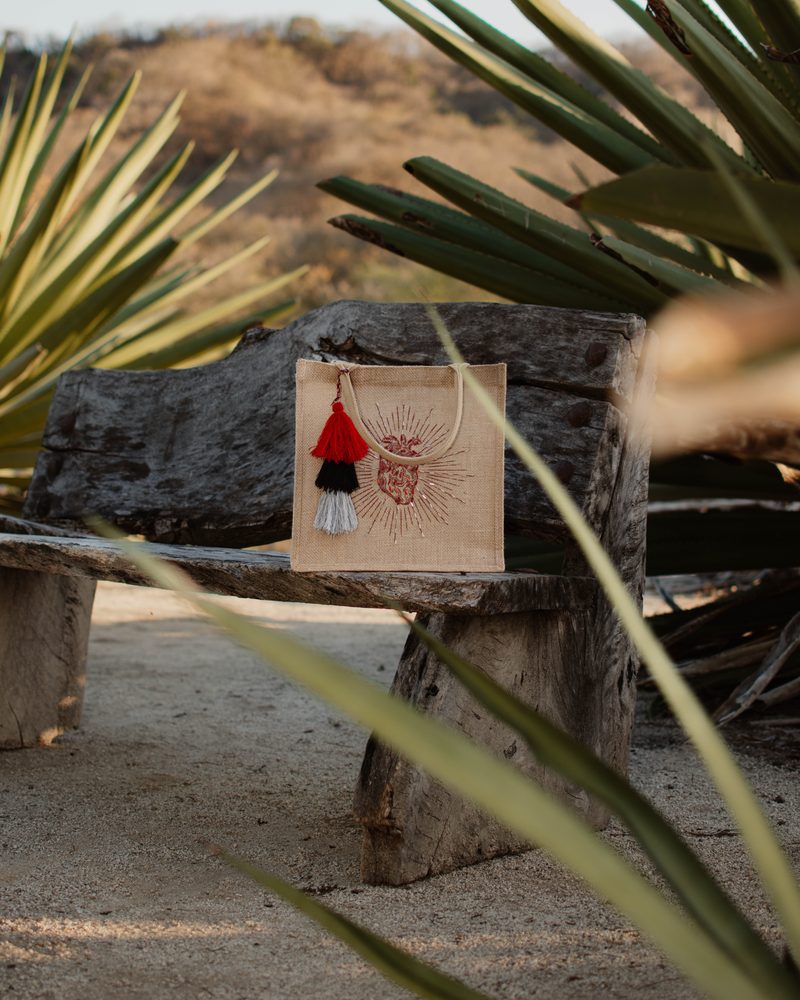 Detalle de los campos de agave en La Lomita